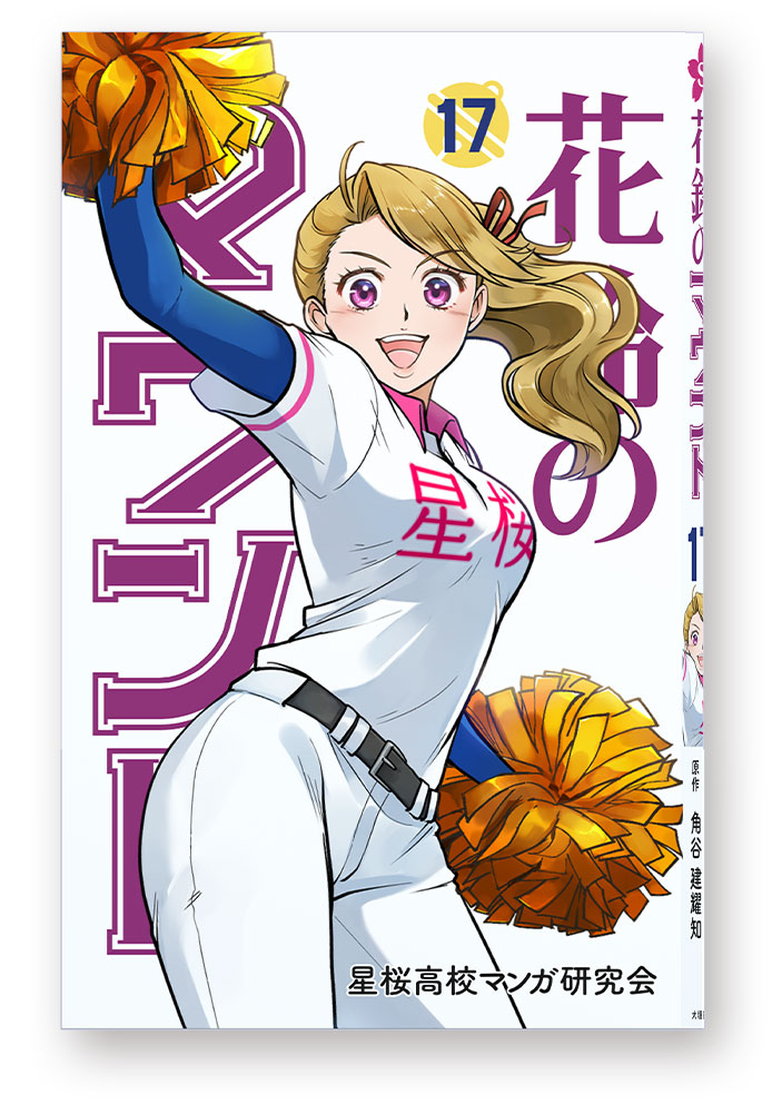 17巻表紙
