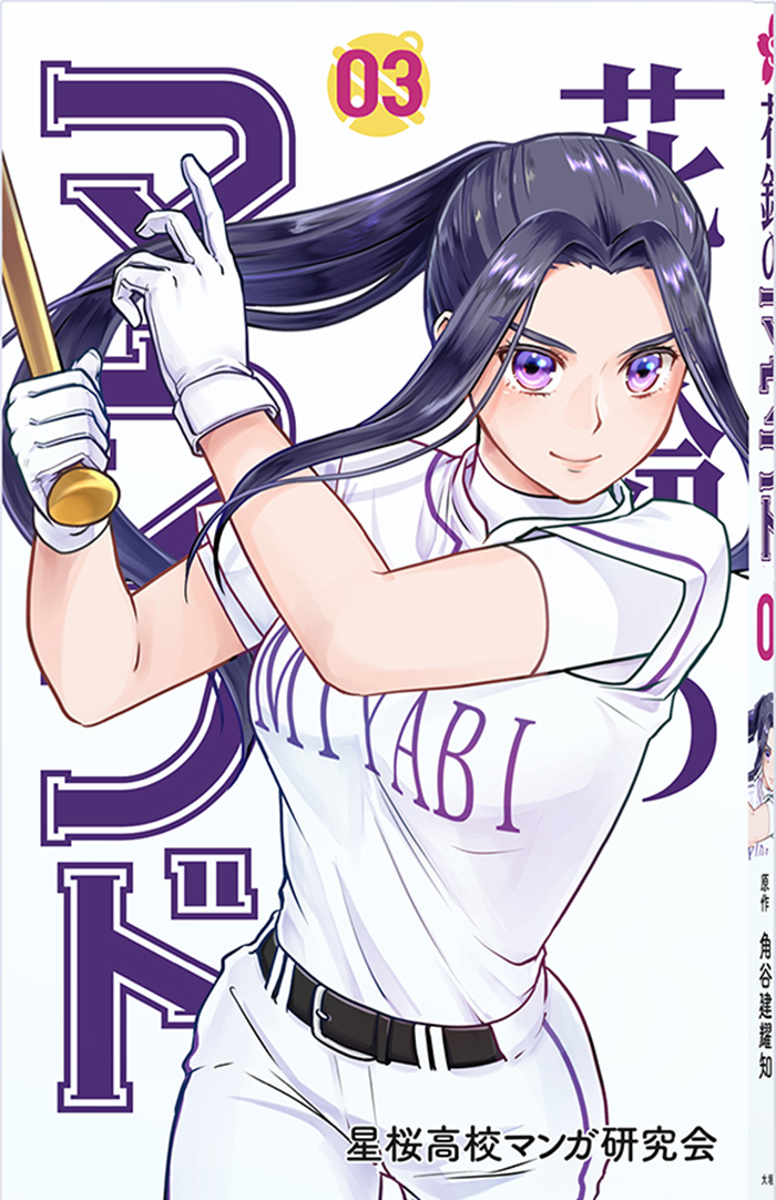 花鈴のマウンド3巻表紙画像